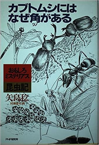 カブトムシにはなぜ角 ツノ がある おもしろミステリアス昆虫記 矢島 稔 本 通販 Amazon