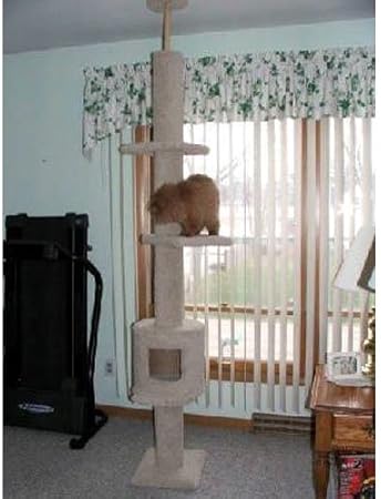 8 foot cat tree
