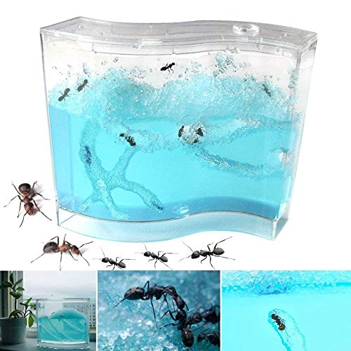 Ant Works Farm Castle, Live Ant Viewing Habitat, Educational Toy, Allows Study of Social Structure, Architecture, Ecosystem, and The Behavior of Ants Within The 3D Maze of Translucent Gel - L Size - Thumbnail 5