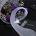 Sntieecr 50 Yards 2 Inch Stiff White Polyester Horsehair Braid for Polyester Boning Sewing Wedding Dress, Formal Gowns, Hat, DIY Bouquet Decorations