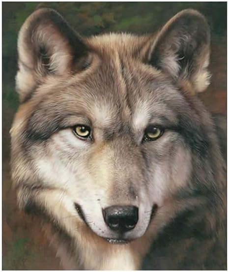 Amazon Pdtbyu 動物の油絵のオオカミの絵がキャンバスに印刷された ウォールステッカー オンライン通販