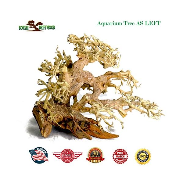 Bonsai Driftwood Aquarium Tree As Random Pick 6in H X 8in L Natural Handcrafted Fish Tank Decoration Helps Balance Water Ph Levels Stabilizes Environments Easy To Install Driftwood Furnitures