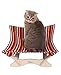 CATONEER Сat Hammock - cat Bed - pet Bed - pet Bed Frame - Small Dog Bed - cat Bed Frame - Gifts for Cats - cat Lovers Gifts - cat beds - pet pad - Small Dog beds - pet Hammock [Candy]