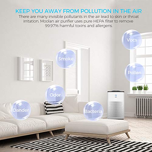 20 Best Filter Air Purifiers You Can Buy In 2020