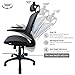 Ergonomic Office Chair, Weight Capacity Over 300Ibs Passed BIFMA,Breathable High Back Mesh Office Chairs,Adjustable Headrest,Backrest and Flip-up Armrests,Executive Office Chair for Height Under 5'11