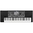 Korg PA600 61-Key Professional Arranger with Color Touchview Display