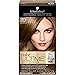 Schwarzkopf Color Ultime Iconic Blondes Hair Coloring Kit, 7.0 Dark Blonde (Pack of 2)