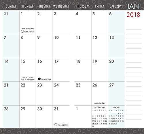 Fish 2018 Checkbook/2 Year Pocket Planner Calendar (CC0288)