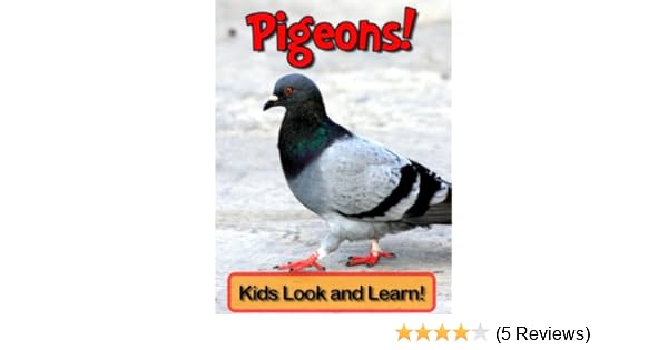 Pigeons Learn About Pigeons And Enjoy Colorful Pictures Look