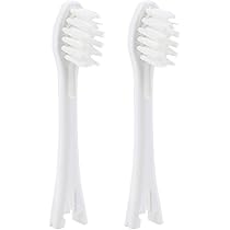 Amazon.com: IONPA DP Pearl White Home Premium USB