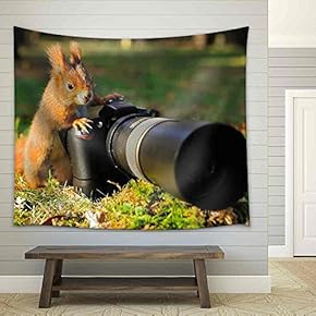 Squirrel as a Photographer with Big Professional Camera - Fabric Wall Tapestry Home Decor - 51x60 inches