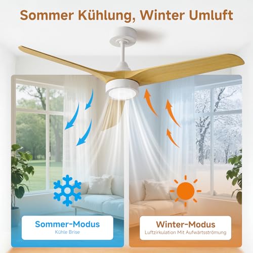 Ateroll 132 cm Ceiling Fan with Lighting and Remote Control, Ultra Quiet DC Motor, 3 Blades, 6 Speeds, 1/4/8H Timer, Dimmable LED, Summer Winter Operation for Living Room, Bedroom