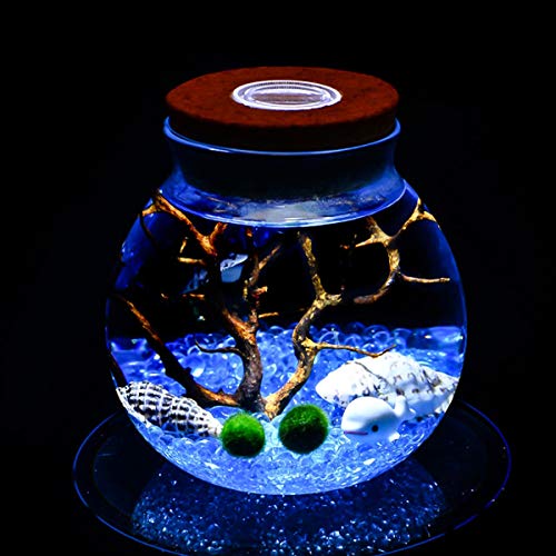Cork Micro Landscape Ecological Bottle Fish Tank Round Glass Jar Aquarium Ball Night Lights Gift (Color : With Light)