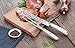Cangshan S1 Series 61895 German Steel Forged 2-Piece Carving Set, Crème
