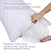 HOMEIDEAS Queen Bed Pillows for Sleeping Set of 2 - Luxury Down Alternative Pillows, Premium Plush Fiber - Good for Side and Back Sleeper