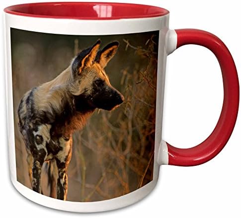 3dRoseAfrican Wild Dog, Lycaon pictus, Kruger National Park, South Africa. - Mugs (mug_209138_5)