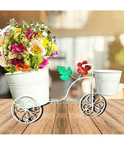 Weston Crafts Planter Cycle Style Stand with 2 Metal Pot Planter Stand,