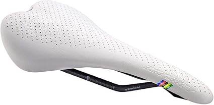 ritchey wcs saddle