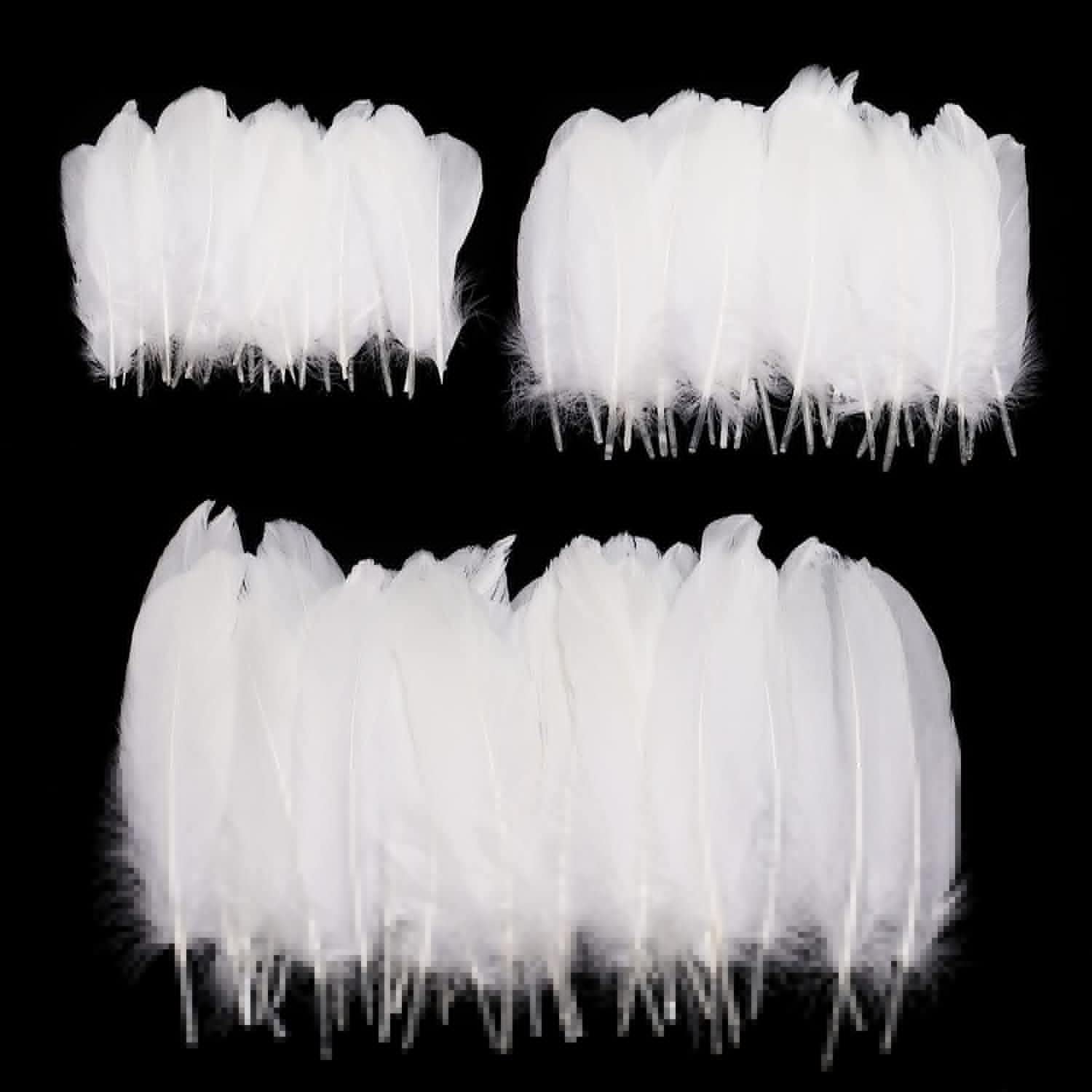 Feather for Crafts, 250 Pcs White Feathers Natural Goose Feathers for DIY Dream Catchers/Earrings/Wedding Party Decorations (3 Sizes)