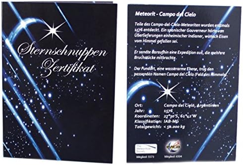 étoile Filante Octaédrite Avec Certificat Dauthenticité
