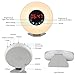 Wake Up Light Alarm Clock - USCCE (2017 New Design) Sunrise Simulation Alarm Clock with Snooze/Sunset Function, Nature Sounds, FM Radio, 7 colors Changing, Touch Control Alarm Clock radio (White)