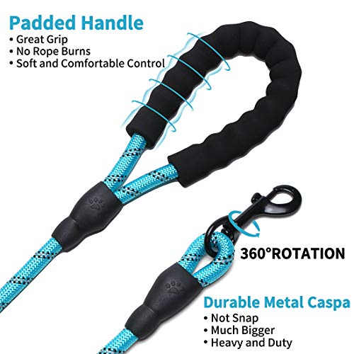 Doyoo 5 FT Strong Dog Leash with Comfortable Padded Handle and Highly Reflective Threads Dog Leashes for Medium and Large Dogs