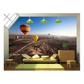 Inspiring Beautiful Landscape with Hot Air Balloons - Removable Wall Mural | Self-Adhesive Large Wallpaper - 66x96 inches