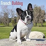 French Bulldog Calendar - Dog Breed Calendars - 2018 - 2019 Wall Calendars - 16 Month by Avonside by 