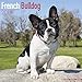 French Bulldog Calendar - Dog Breed Calendars - 2018 - 2019 Wall Calendars - 16 Month by Avonside by 