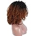 ELIM Ombre Brown Wigs for Black Women Short Afro Wig Kinky Curly Wig Realistic Looking Heat Resistant Full Wigs Z114