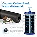Waterdrop WF1CB Replacement for Frigidaire® PureSource WFCB®, RG100, NGRG2000, WF284, 9910, 469906, 469910 Refrigerator Water Filter, 6 Filters