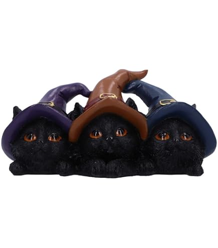 Amazon.com: Nemesis Now Kitty's Grimoire Cat Spell Book Figurine