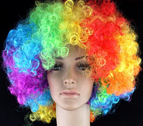 Unisex Clown Wig Circus Funny Fancy Party Dress Accessory Afro Stag Do Fun Joker (Multicolored/Rainbow)