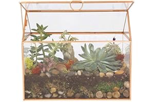 D'Eco Glass House Plant Terrarium (10"x6"x8") - Indoor Tabletop Gold Geometric Planter Terrarium for Succulents, Air Plants, Moss - Home, Garden, Wedding & Office Decor - Gift for Plant Lovers