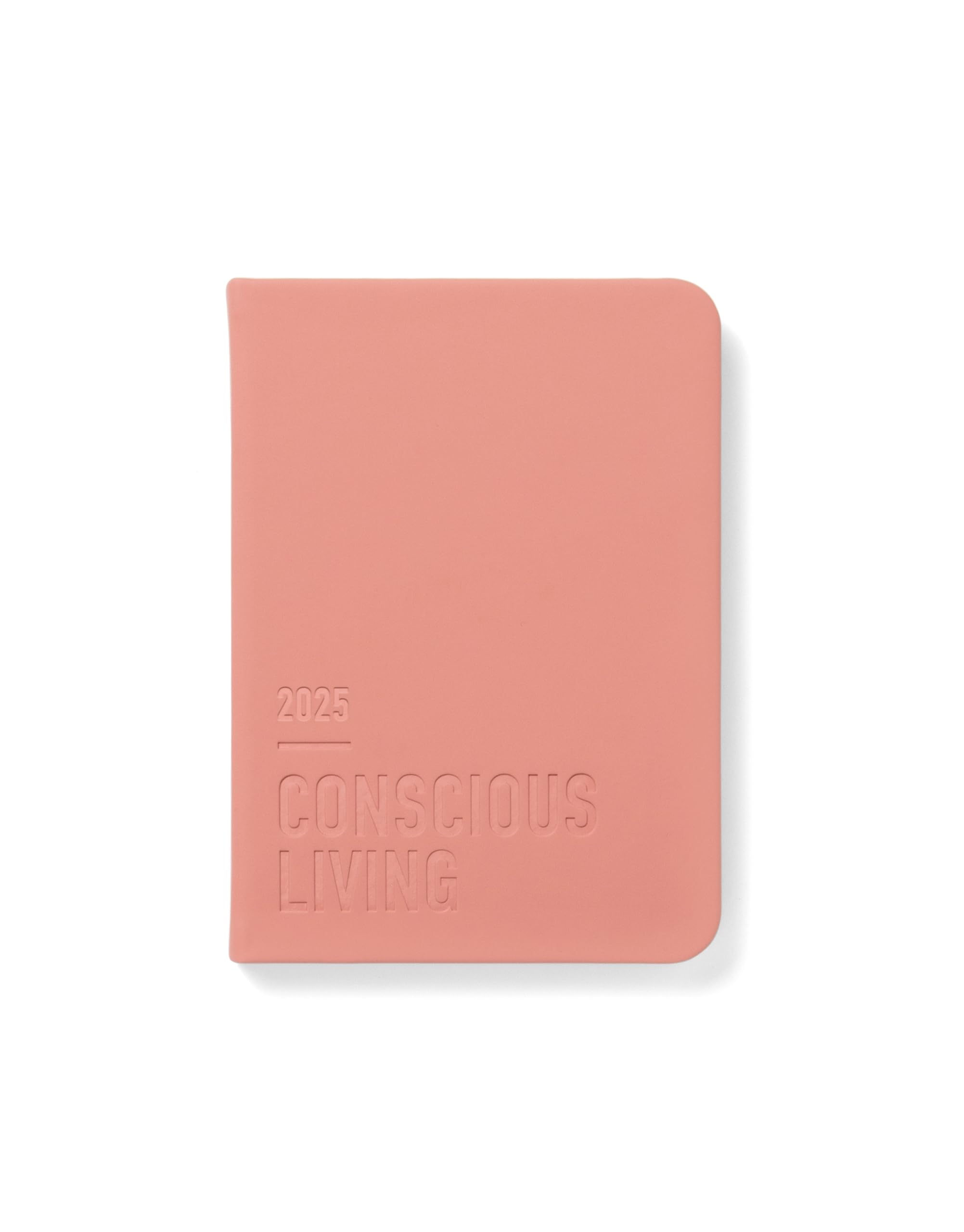 Letts of London Conscious A6 day to a page with appointments 2025 diary - clay