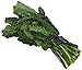 Organic Lacinato (Dinosaur) Kale, One Bunch