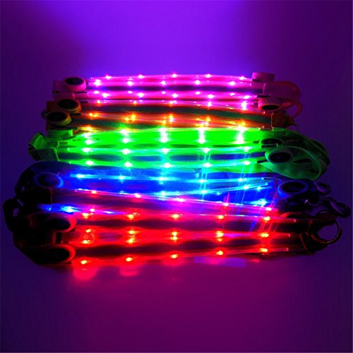 BININBOX LED Horse Breastplate Collar Equestrian Riding Bridle Halter Safety Light Horses Neck Belt Equipment Horsing Accessory Horseback (Blue)