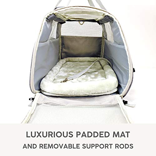 3 Jet+Sitter+Airline+Approved+Carrier