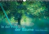 In der Welt der Bäume (Wandkalender 2020 DIN A4 quer): Bäume, unsere wunderbaren Weggenossen. (Mon by