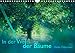In der Welt der Bäume (Wandkalender 2020 DIN A4 quer): Bäume, unsere wunderbaren Weggenossen. (Mon by