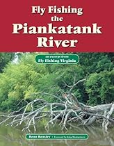 Experiencing Music Video: Aesthetics and Cultural Context