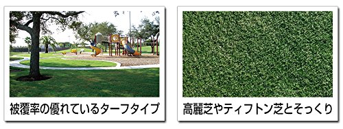 超美品 バミューダグラス デューン 1kg入 B01e6jvj8m Tillomed Es