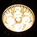 110V 4W GU10 LED Bulb - 3200K Warm White LED Spotlight - 50Watt Equivalent - 330 Lumen 45 Degree Beam Angle