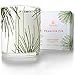 Thymes Frasier Fir Candle, Pine Needle