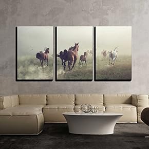 3 Piece Canvas Wall Art - Group of Horses on The Meadow at The Morning - Modern Home Art Stretched and Framed Ready to Hang - 16"x24"x3 Panels
