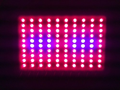 New Anjeet 600W 300W LED Panel Grow Light Hydroponic System Full Spectrum For Indoor Plant Veg and Flower Replace HPS Lamp (300W)