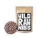 Wild Raw Nibs, Raw Cacao Nibs From Organically Grown Cocoa - Single-Origin, Gluten-Free, NON-GMO Superfood - Baking, Smoothies, Recipes, Snacking (8 ounce)