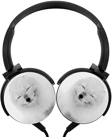 Amazon 有線ステレオヘッドホン かわいいキツネ ノイズキャンセリング オーバーイヤーヘッドホン マイク付き ポータブルヘッドセット イヤホン Carrington イヤホン ヘッドホン本体