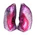 Crystal Allies Gallery: Pair of Small 1lb - 3lbs Polished Agate Geode Halves Bookends w/ Authentic Crystal Allies Stone Card (Pink)