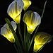 Chasgo Solar Decorative Garden Stake Light Outdoor, Led Lighting Calla Lily Flower Solar Graden Light Outdoor Stake, White Cally Lily Flower